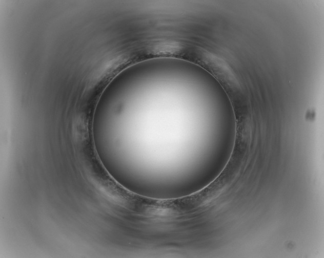 X0000092090743200709121512