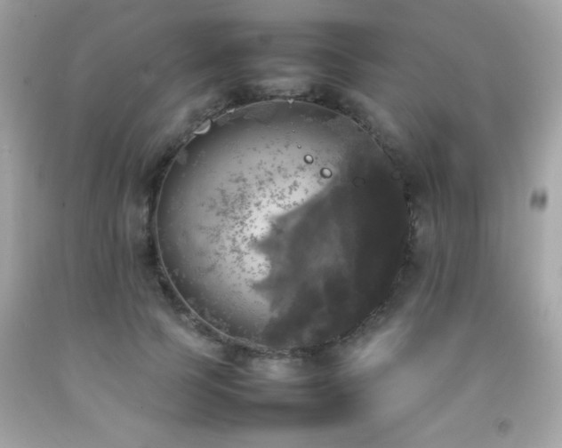 X0000092090745200709121512