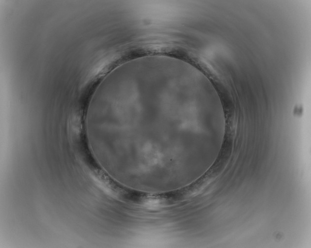 X0000092090746200709121512