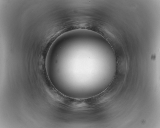 X0000092090747200709121512