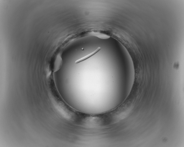 X0000092090748200709121512