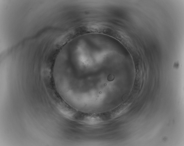 X0000092090749200709121512
