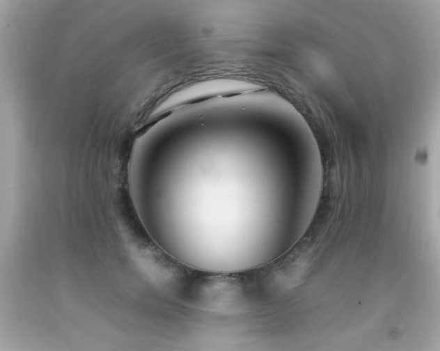 X0000092090750200709121512