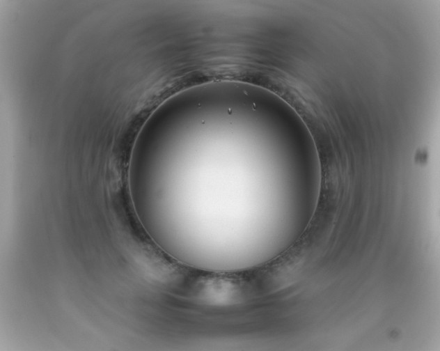 X0000092090751200709121512