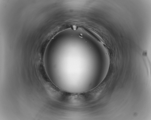 X0000092090752200709121512