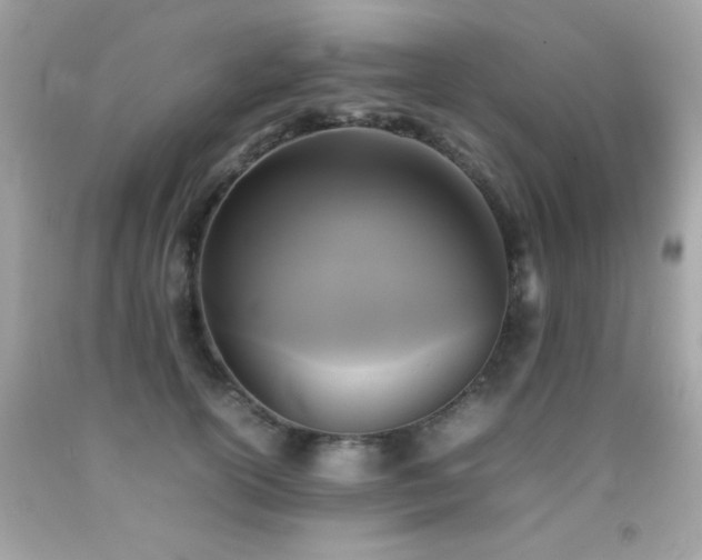 X0000092090754200709121512