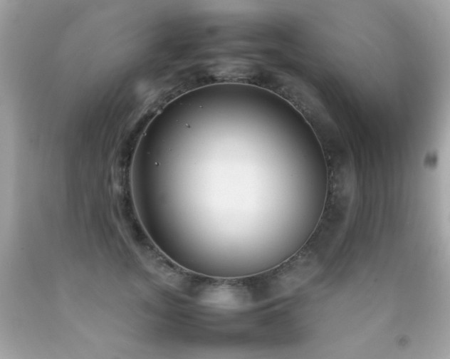 X0000092090755200709121512