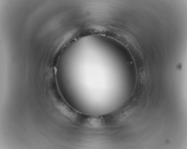 X0000092090756200709121512