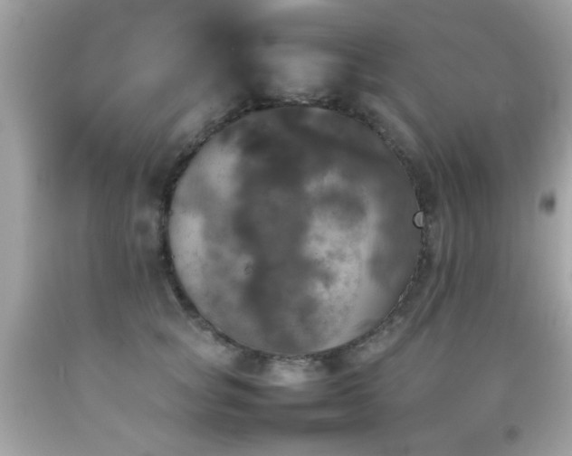 X0000092090757200709121512