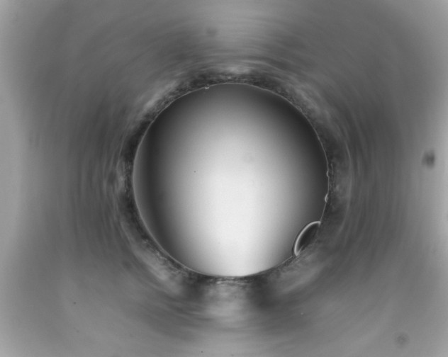 X0000092090758200709121512