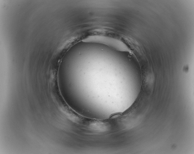 X0000092090759200709121512