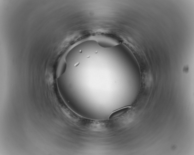 X0000092090760200709121512