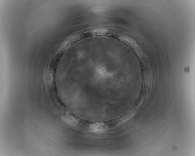 X0000092090761200709121512