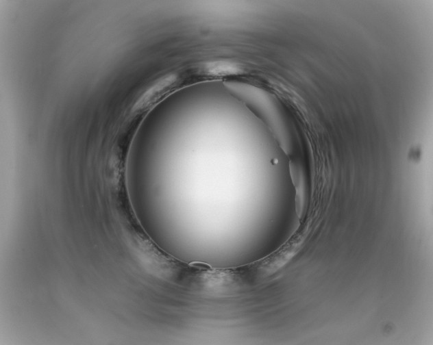 X0000092090762200709121512