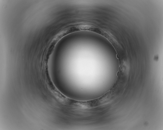 X0000092090763200709121512