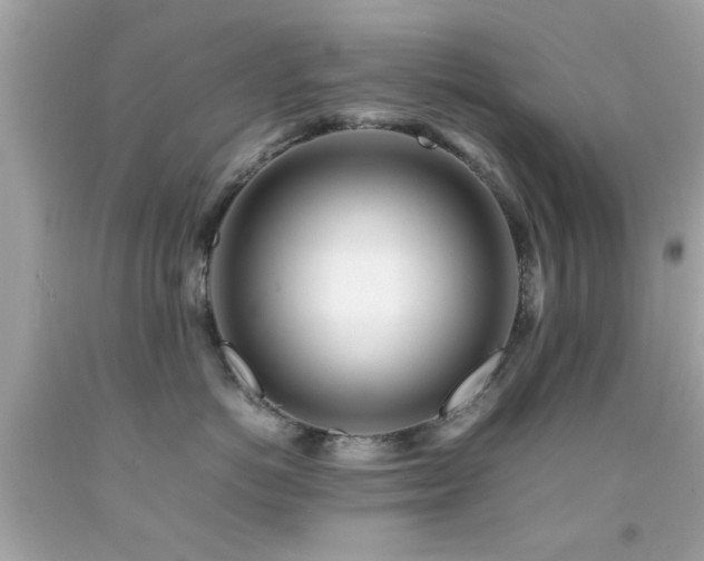 X0000092090766200709121512