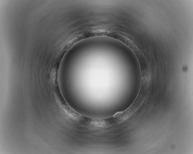 X0000092090767200709121512
