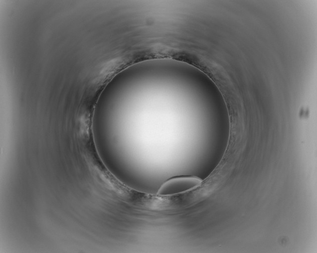X0000092090768200709121512