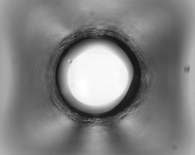 X0000092090769200709121512