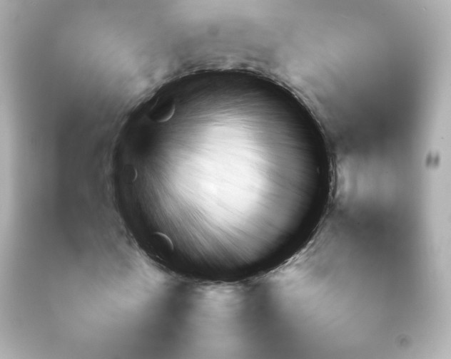 X0000092090770200709121512