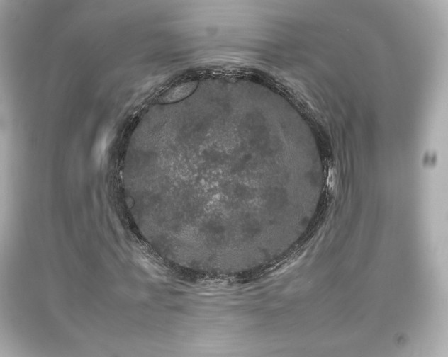 X0000092090771200709121512
