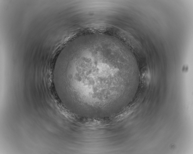 X0000092090772200709121512