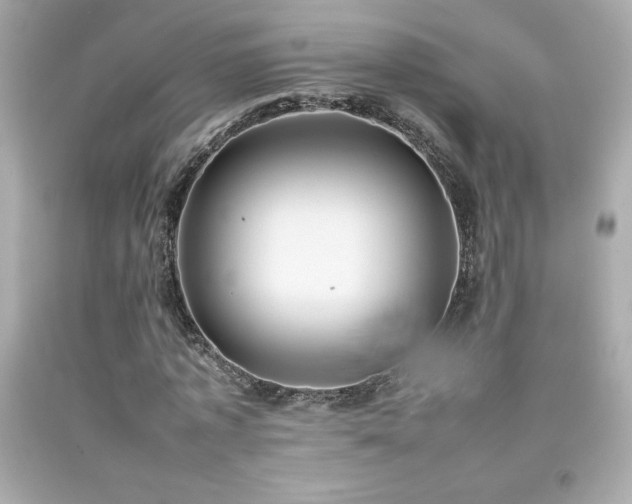 X0000092090773200709121512
