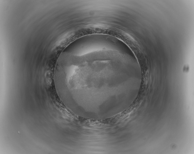 X0000092090774200709121512
