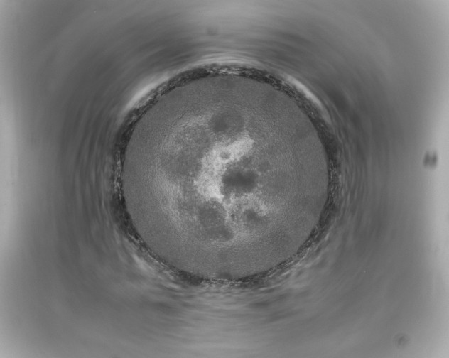 X0000092090775200709121512