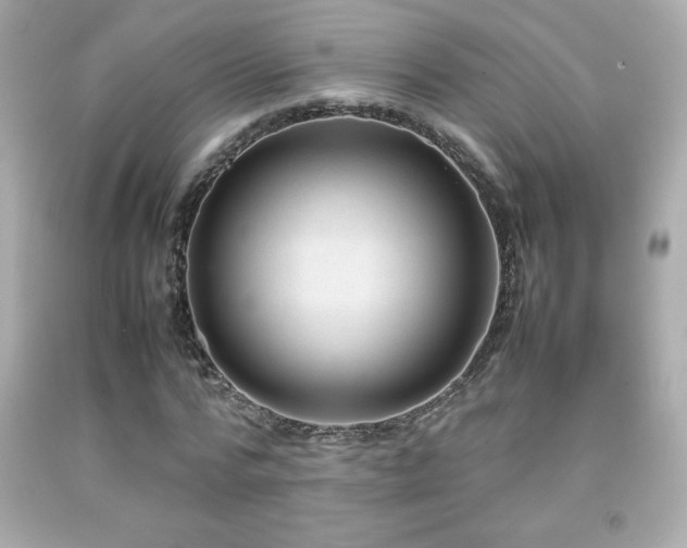X0000092090776200709121512