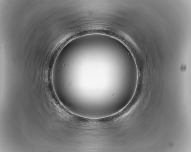 X0000092090777200709121512