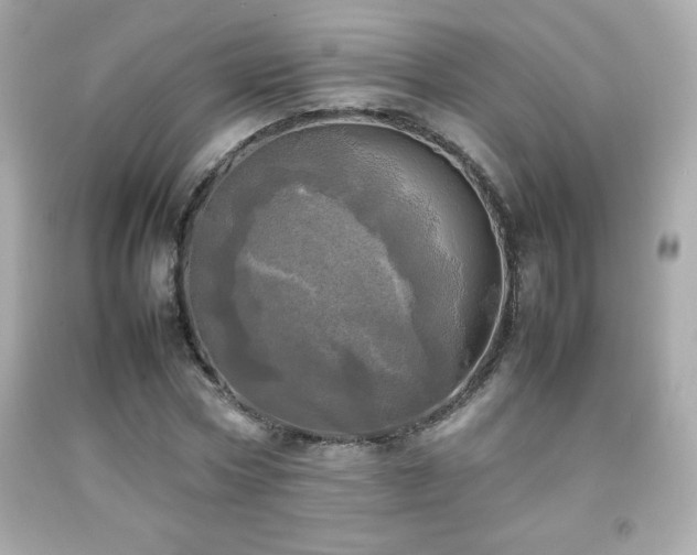 X0000092090778200709121512