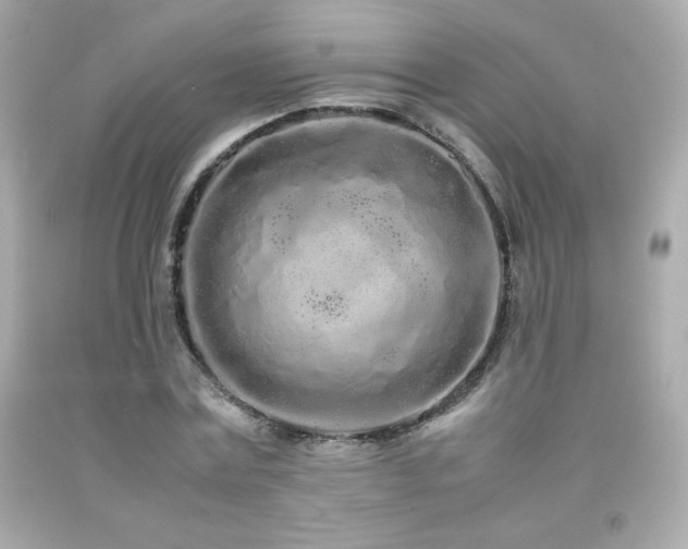 X0000092090779200709121512
