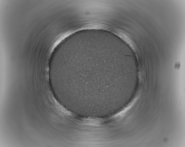 X0000092090781200709121512