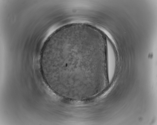X0000092090783200709121512