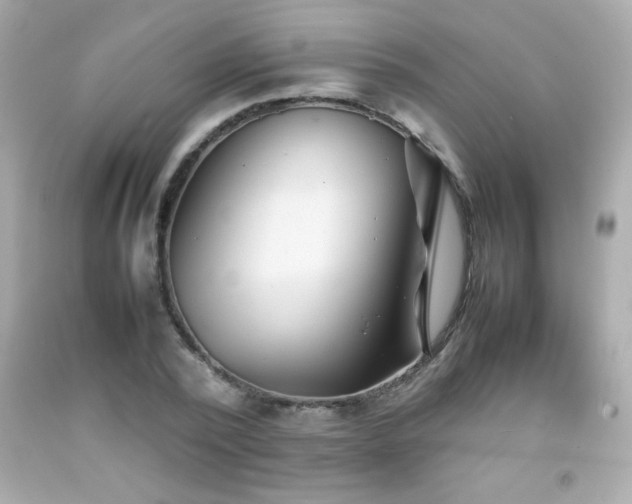 X0000092090784200709121512