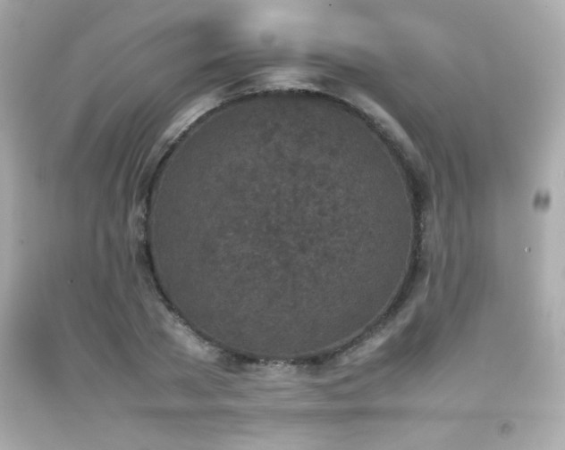 X0000092090785200709121512