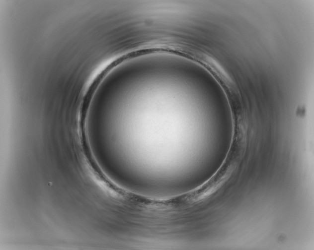 X0000092090788200709121512