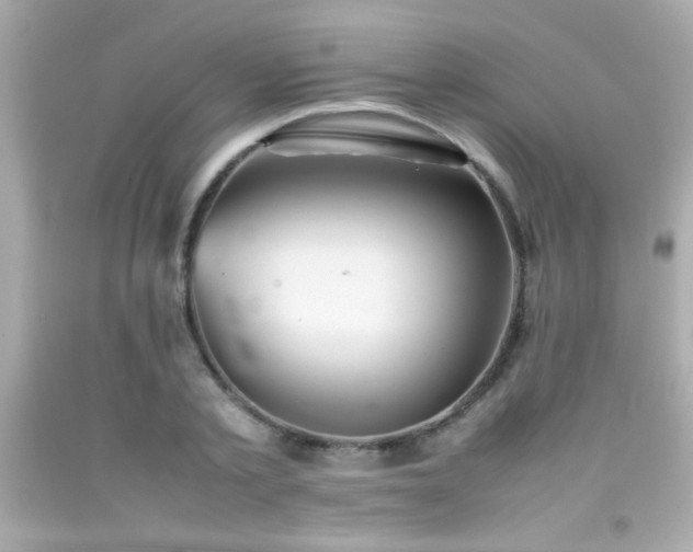 X0000092090789200709121512