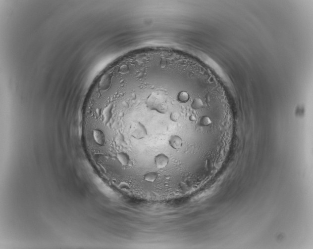 X0000092090791200709121512