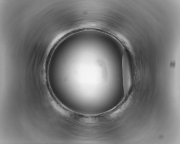X0000092090792200709121512