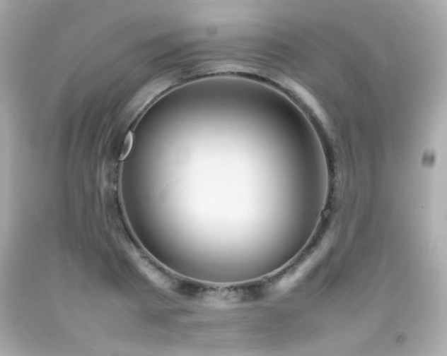 X0000092090793200709121512