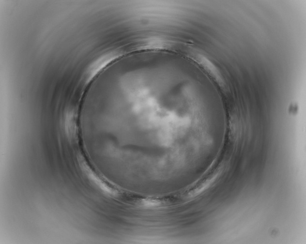 X0000092090794200709121512