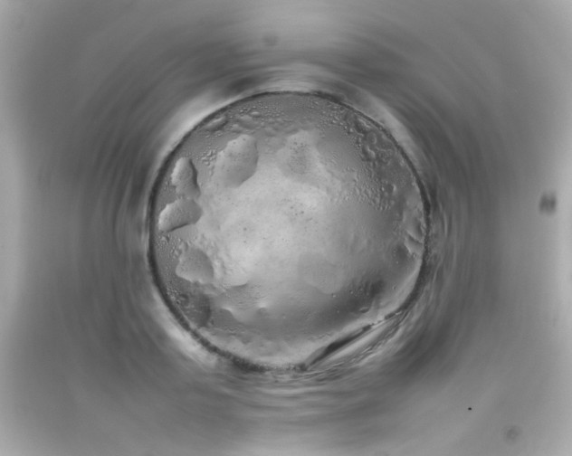 X0000092090795200709121512