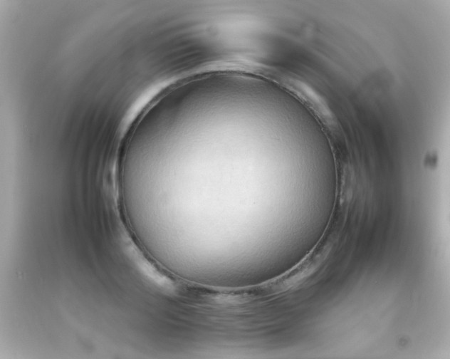 X0000092090796200709121512
