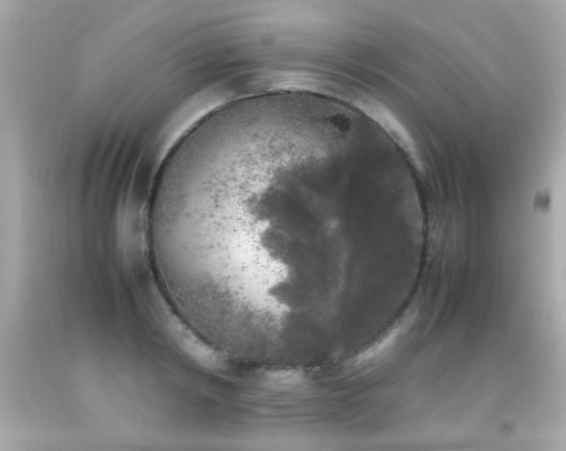 X0000092090798200709121512