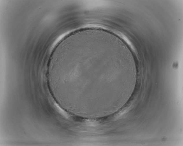 X0000092090799200709121511