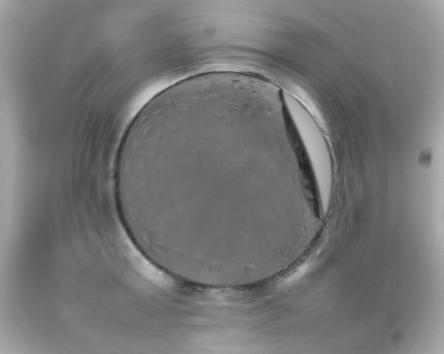 X0000092090803200709121511
