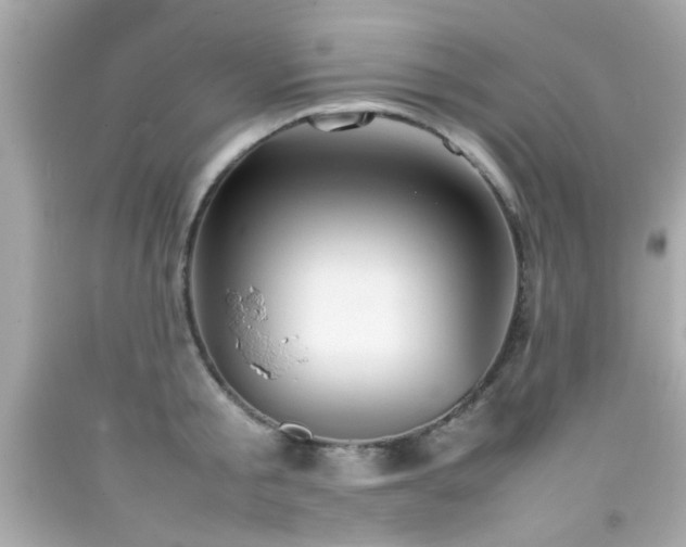 X0000092090805200709121511