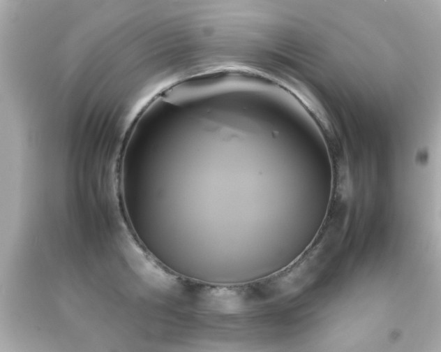 X0000092090806200709121511